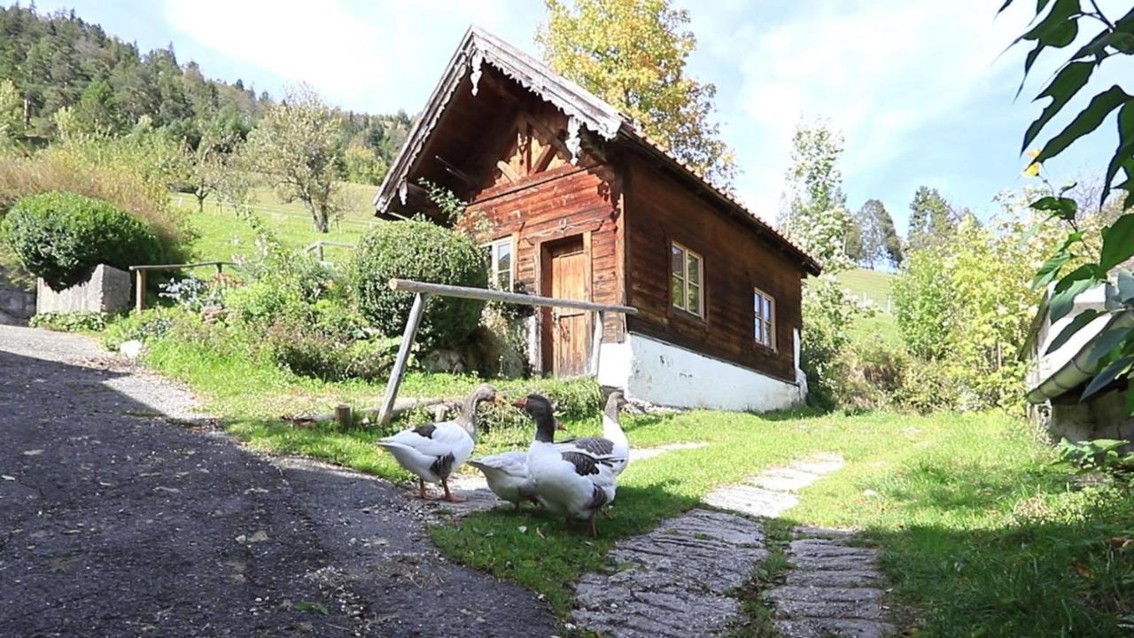 ヴァルガウHaus Hollerアパートメント エクステリア 写真